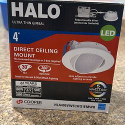 HALO LED Direct Ceiling Mount 