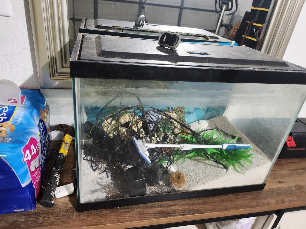 20 Gallon Fish Tank