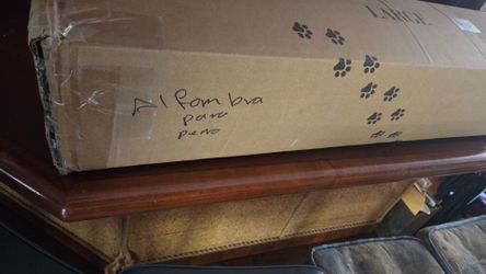 Barney bed for dogs