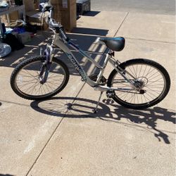 24 “ Schwinn Mountain Bike 