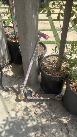 Razor scooter
