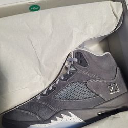Air Jordan 5 Wolf Grey sz11