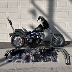Harley Davidson Softail Project– Loud, Fast, Hell Yeah Brother