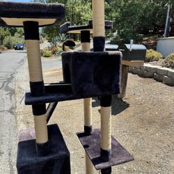 Cat Playground 