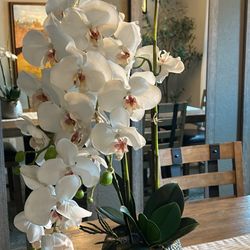 Flower Decor