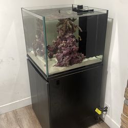 50 gallon salt water tank