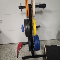 Olympic Bumper Plates $1/lb