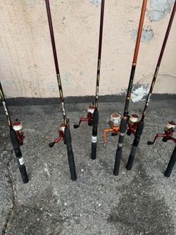 6 Cañas Para Pescar