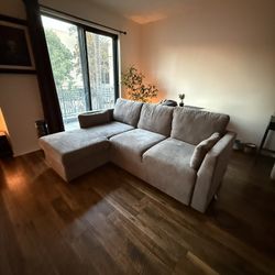 Couch With Chaise Need Gone!
