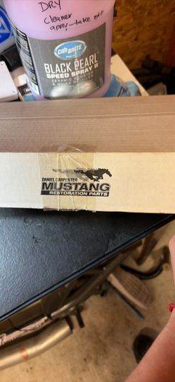 ‘Mustang resivor