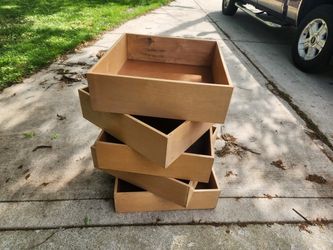 Wood Box Shells $10 Each
