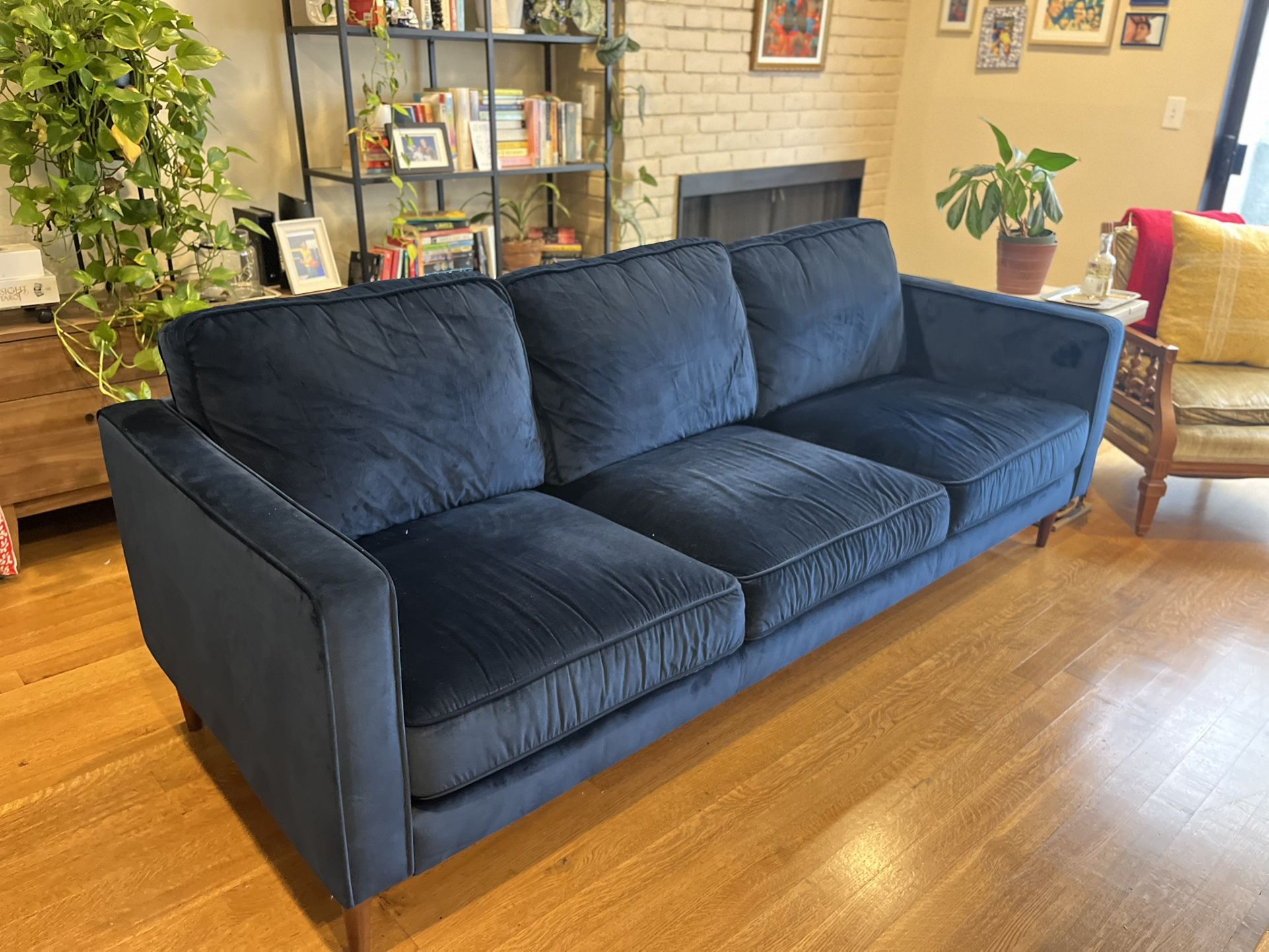 Blue velvet Couch