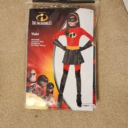 The Incredibles Costume