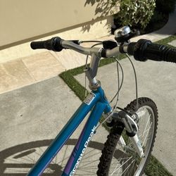 Mountain bike