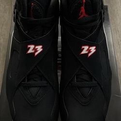 DS Jordan 8 Playoffs 