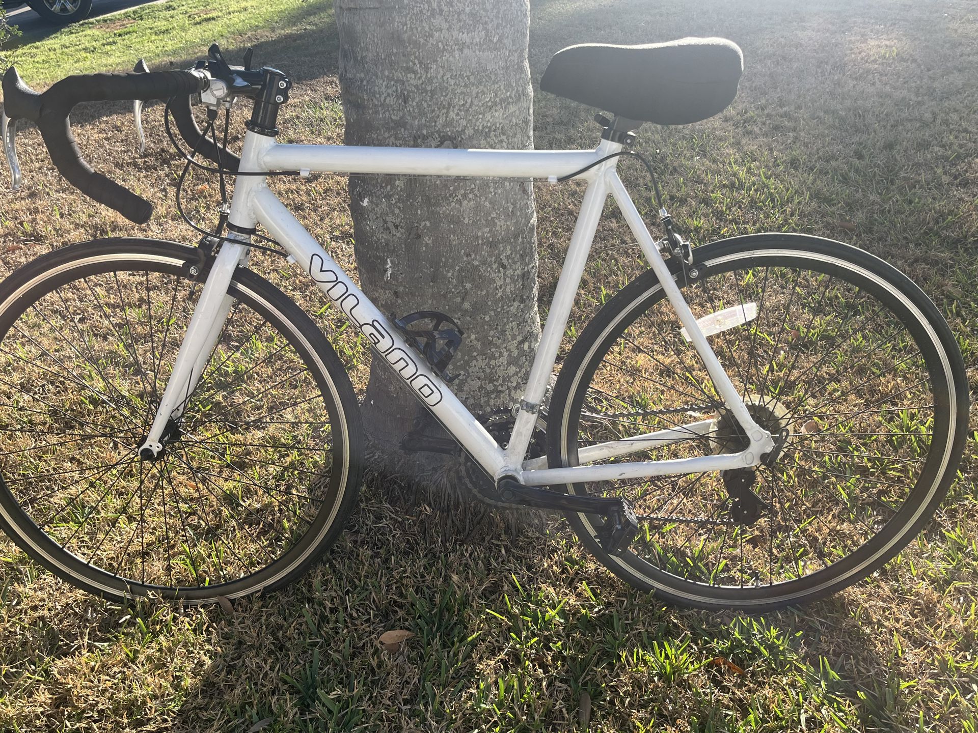 Vilano road bike