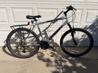 Bianchi mountain bike large