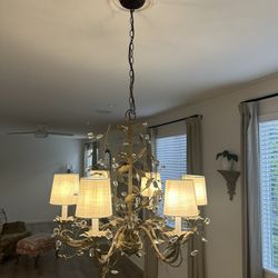 Chandelier And Sconces