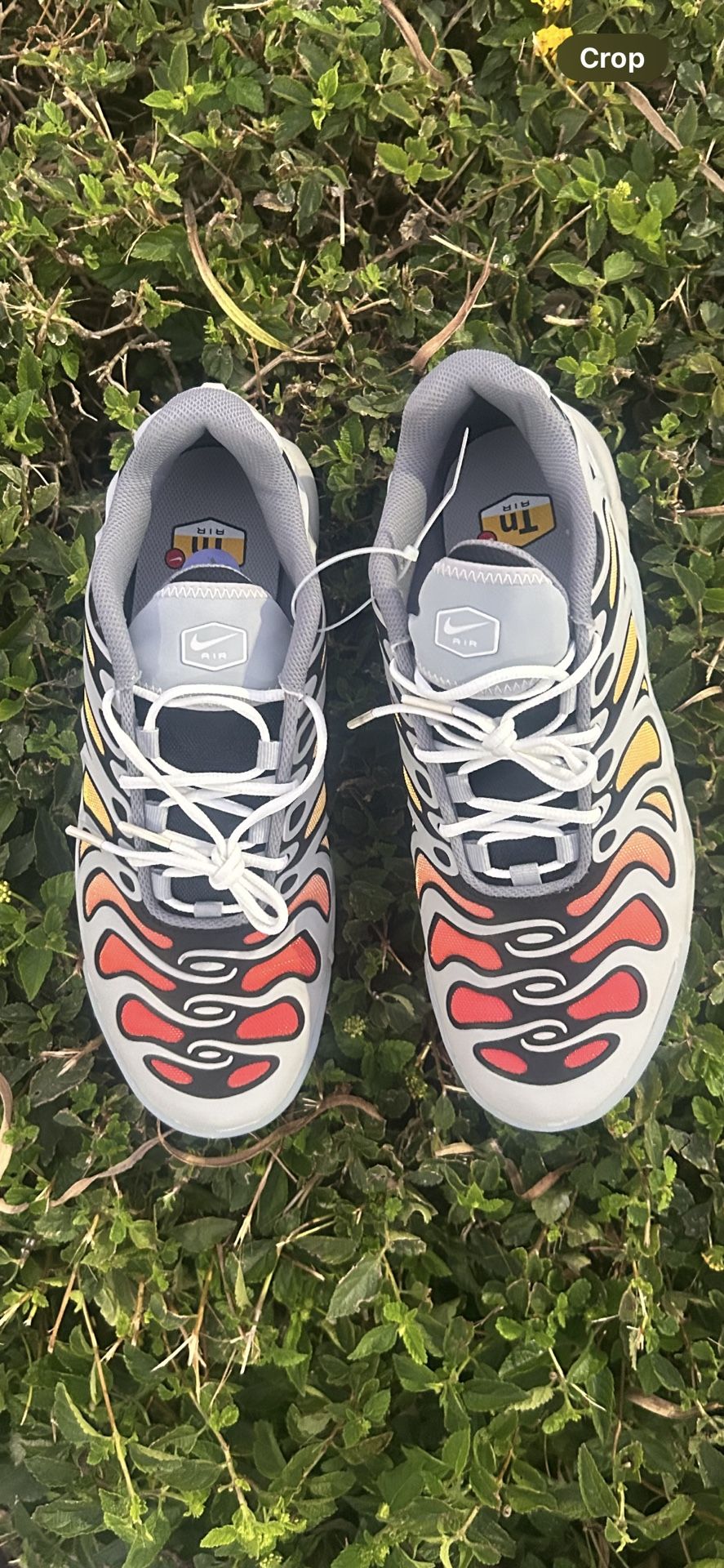 Nike Air Max Plus Drift