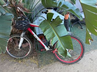 Gt bike