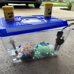 BETA-FISH-TANK