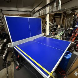 Ping Pong Table 