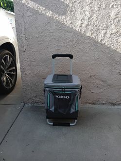 Igloo ice chest
