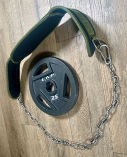 Seektop Weightlifting Dip Belt with a 25 lbs CAP  Weight Plate
