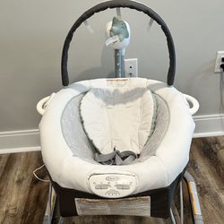 Graco Swing With Portable Bouncer