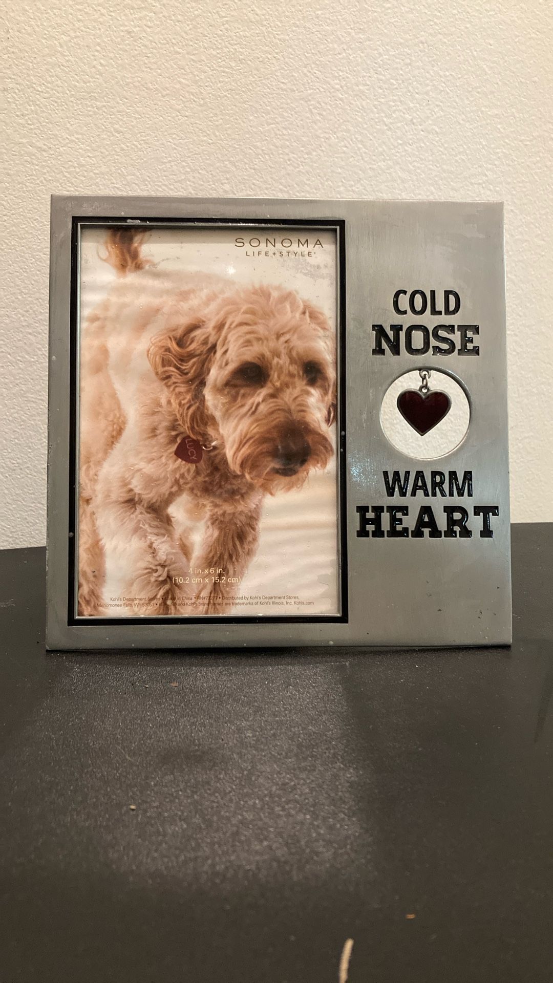 Cold nose, warm heart, metal dog frame
