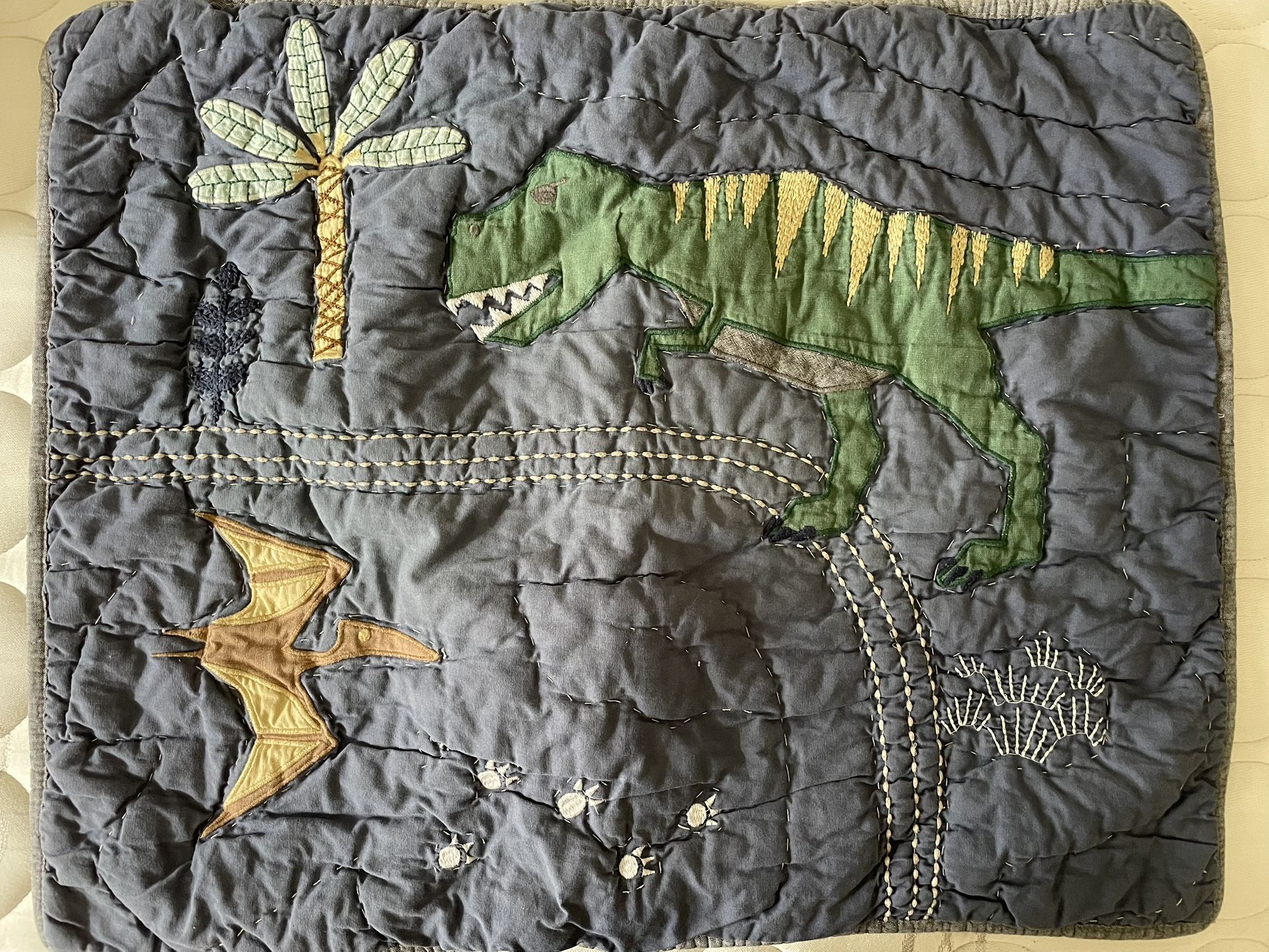 Pottery Barn Kids Quilted Pillow Case