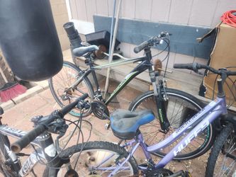 Bicicletas