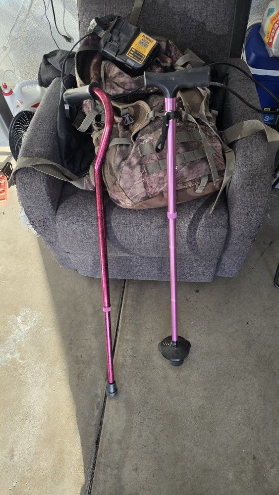 Two Canes