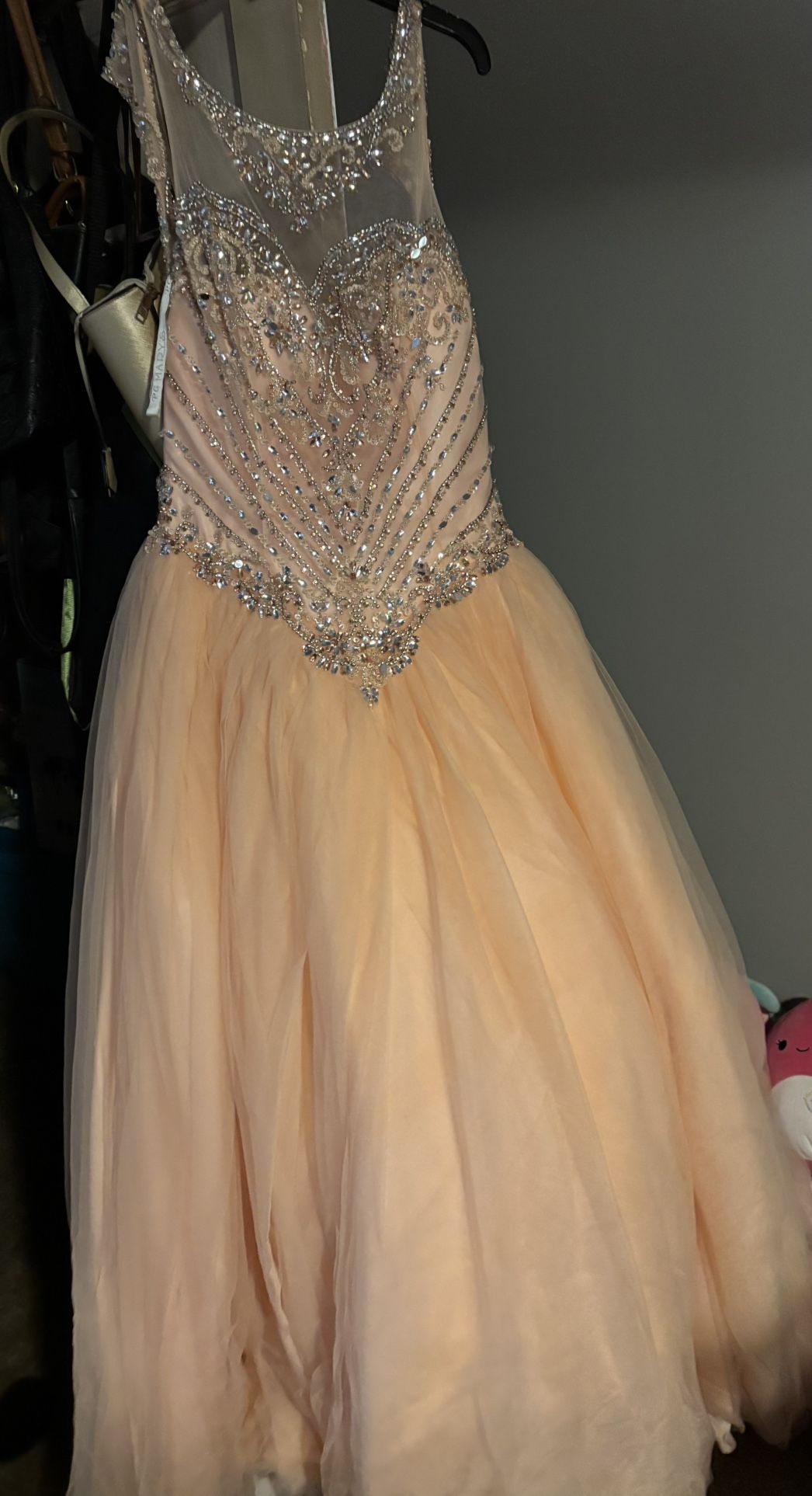 Quinceañera or Sweet 16 Ball Gown