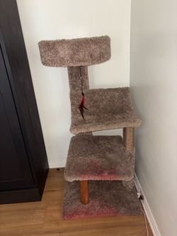 Cat scratch post