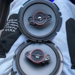 Pioneer Ts-600m