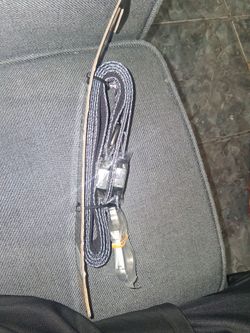 Dog Leash