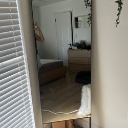 Lululemon Peloton Workout Mirror 