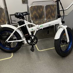 Fat Tire E-bike