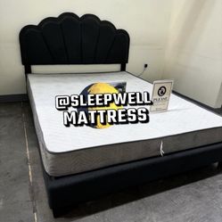 Queen Size Bed Frame Only 