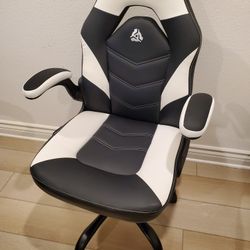 N-Gen Video Gaming Computer Chair