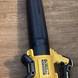 Dewalt Leaf blower 