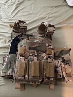 Plate carrier with level IV plates