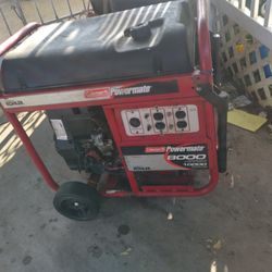8000 Watts Generator