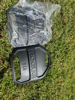 Pair of Rogue 5 LB Weight Plates – New / Never Used