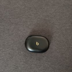 Beats Studio Ear Buds