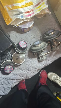 Toyota Camry egr