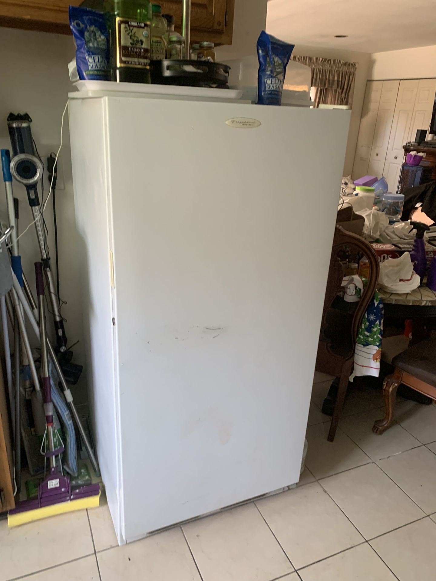Frigidaire Commercial Freezer 