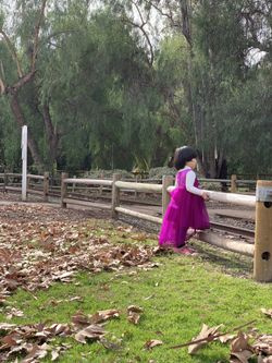 Brand new purple/violet/magenta dress