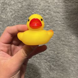 Duck 💛